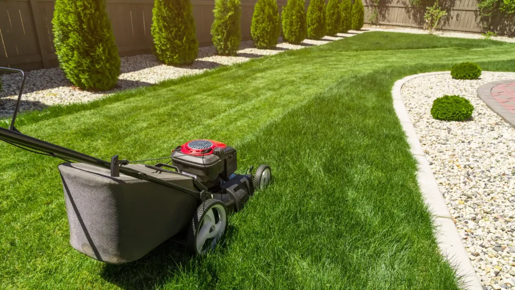 lawn mowing services