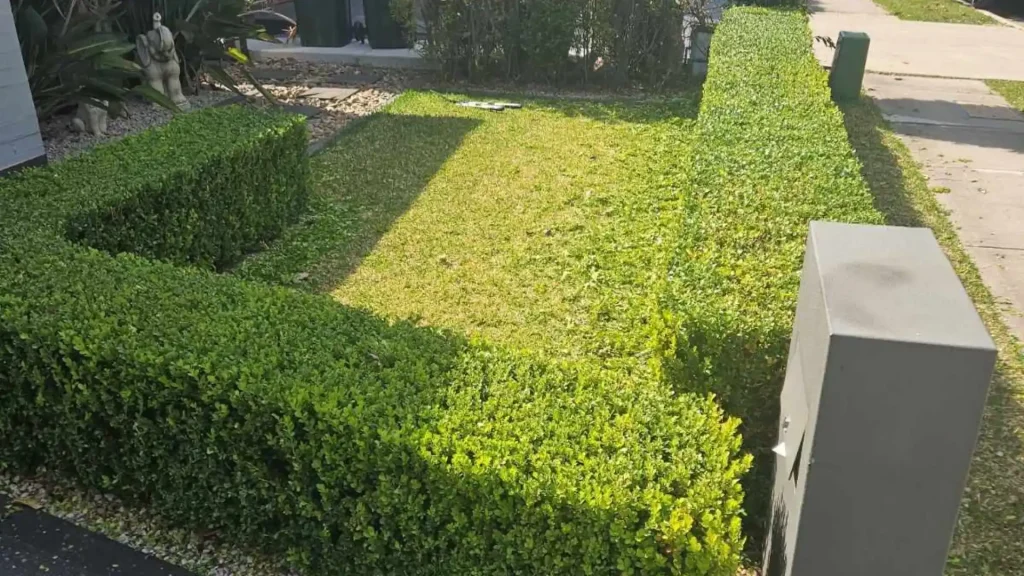 hedging services