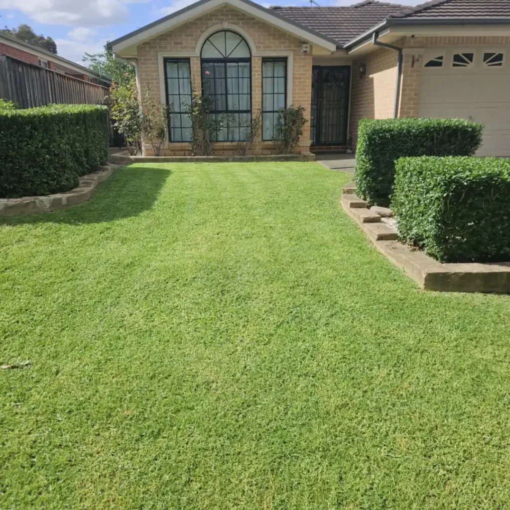 Expert Lawn Maintenance in Oran Park & Surrounding Areas