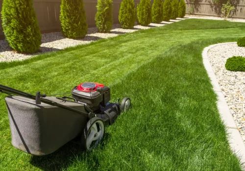 lawn mowing services