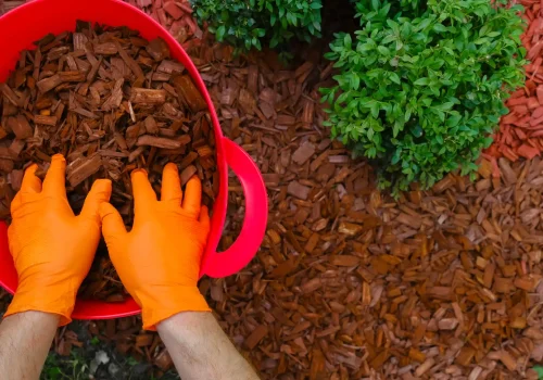 mulching services