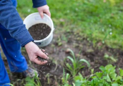 FAQs About Weed Control in Cobbitty