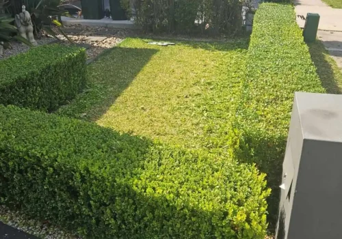 hedging services