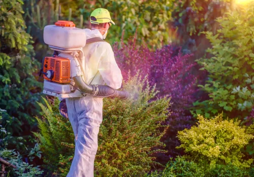 Weed Control in Cobbitty